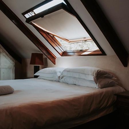 Bloemendal Wine Estate Accommodation Кейптаун Екстериор снимка